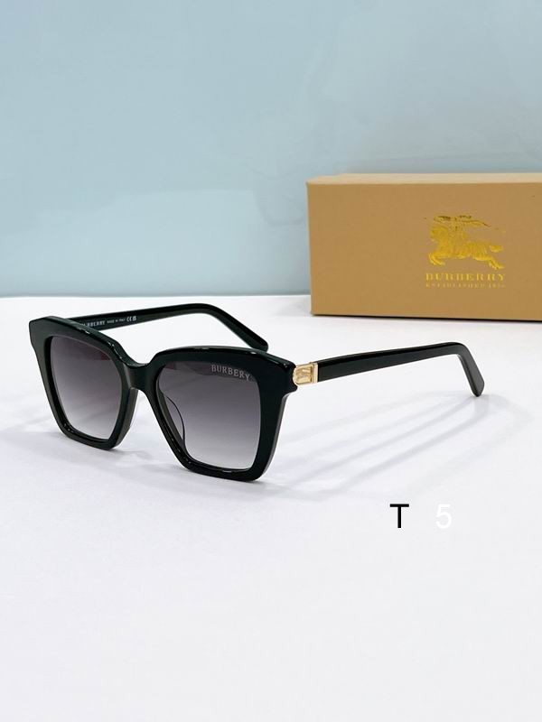 Burberry Sunglasses ID:20250529-64